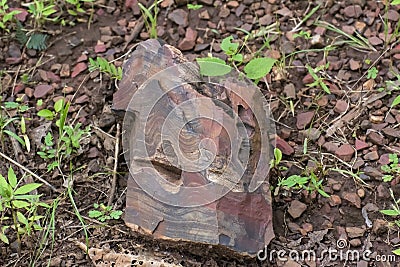 Banded Layered Rock Formation in Central India Stock Photo