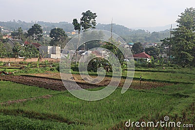 The beautiful natural scenery of the city of Bandung Editorial Stock Photo