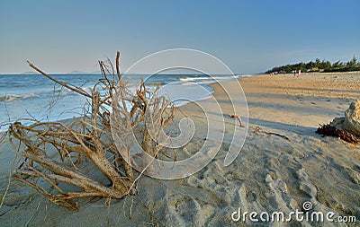An Bang beach. Hoi An. Vietnam Stock Photo