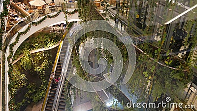 BANGKOK, THAILAND - 18 DECEMBER, 2018 The Emquartier luxury shopping center. Design of mall, green environmentally friendly Editorial Stock Photo