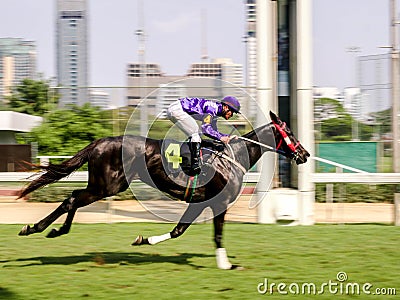 Bangkok, Thailand - Feb 24, 2019: jockey and race horse in action, speeding fast motion blur Editorial Stock Photo