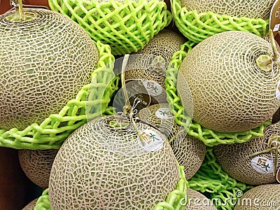 BANGKOK, THAILAND - FEBRUARY 10: Freshly harvested Japanese Melon retail in the produce section of Foodland Supermarket in Bangkok Editorial Stock Photo