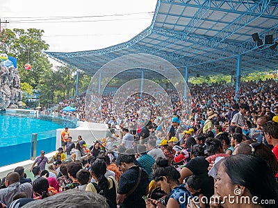 BANGKOK,THAILAND - JUNE 16,2018:The Dolphins show at Safari world.The most intelligent skill and tricks show.Safari World is the b Editorial Stock Photo