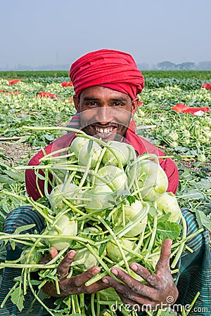 A worker hands are full of turnip at Savar, Dhaka, Bangladesh Editorial Stock Photo