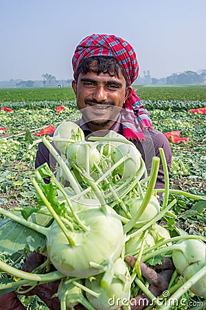 A worker hands are full of turnip at Savar, Dhaka, Bangladesh Editorial Stock Photo