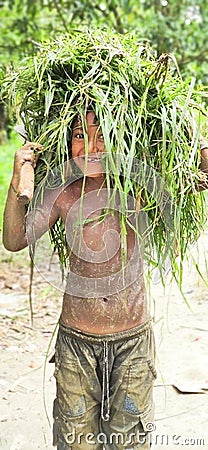 Bangladeshi a little boy is caring fresh grasses on his head with a charming beautiful smiley happy face Editorial Stock Photo