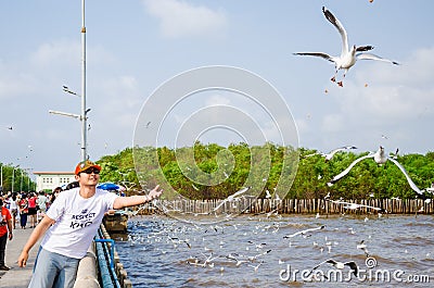 Bangpu, Thailand : Men throw food to the seagulls Editorial Stock Photo