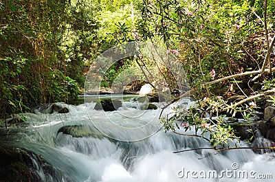 Banias Waterfall Stock Photo