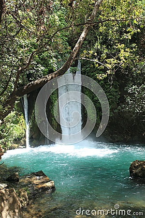 Banias Waterfalls in the Upper Golan, Israel Stock Photo