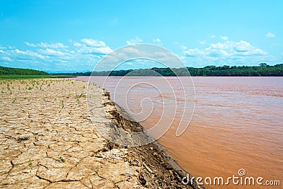 Bank of the Beni River Stock Photo