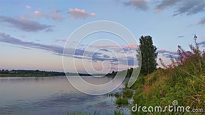 On the bank of the river grows tall grass with flowers, birch and other trees. Reeds stand in the water. Clouds in the sky are ill Stock Photo