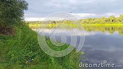 On the bank of the river, overgrown with grass and bushes, there are feeder rods for catching bream on fishing stand. There is a f Stock Photo