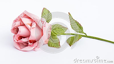 A Banknote Rose Stock Photo