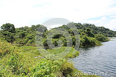 Banks of a Full Tropical Reservoir in Barinas Venezuela on a partly cloudy day Stock Photo