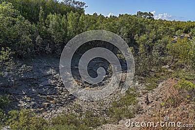 Muddy Tidal Creek Stock Photo