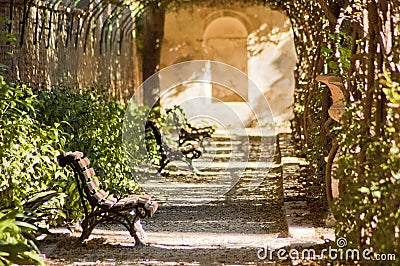 Bench on a walk under a pergola Editorial Stock Photo