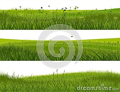 Banner of abstract meadow grass. Vector Illustration