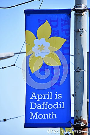 Banner . April is daffodil month. Vancouver BC Canada April. 2019 Editorial Stock Photo