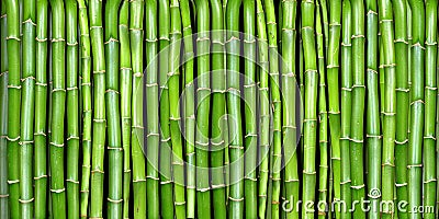 Banner of bamboo Stock Photo