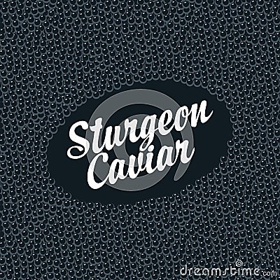 Banner for black sturgeon caviar with inscription Vector Illustration