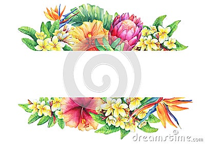 Banner with branches purple protea, plumeria, strelitzia and hibiscus tropical flowers. Stock Photo