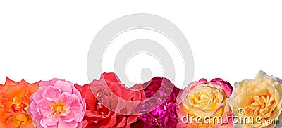 Banner of the bright colors, isolated on white background Stock Photo