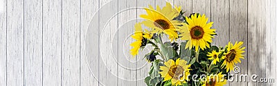 banner of A bunch of sunflowers in a black vase on a rustic white wooden table Stock Photo