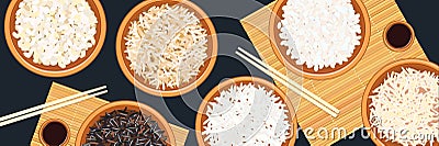 Banner with different types of rice in bowls. Basmati, wild, jasmine, long brown, arborio, sushi. chopsticks Cartoon Illustration