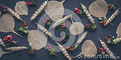 Banner: dry leaves, lingonberry berries and ears of wheat on a black background. Top view Stock Photo