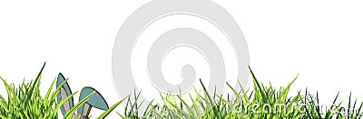 Banner easter bunny ears left side, peeping through green grass isolated Stock Photo