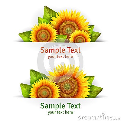 Banner floral background or card template with blooming sunflowers Vector Illustration