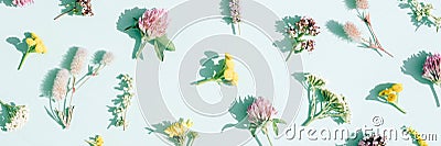 Banner flower composition. Trendy floral pattern made of wild field flowers with shadows over mint background Stock Photo