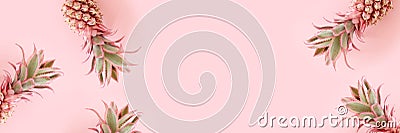 Banner with frame made of pink pineapples Stock Photo