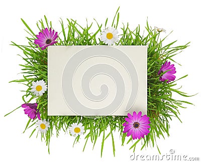 Banner with grass and flowers Stock Photo