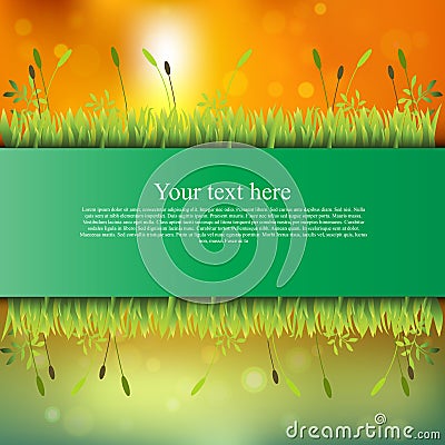 Banner with grass and flowers Vector Illustration