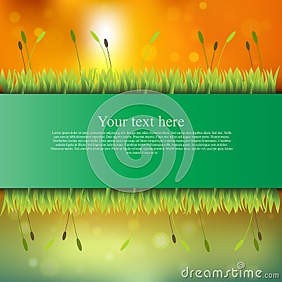 Banner with grass and flowers Vector Illustration