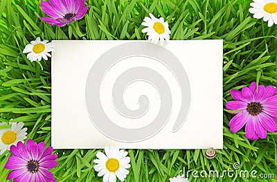 Banner on grass, pink and white flowers Stock Photo