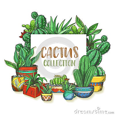 Banner with hand drawn cactus in boxes, plants Vector Illustration