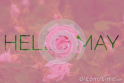 Banner hello may. Welcome picture. New month. Warm month. the month of May. Spring month Stock Photo