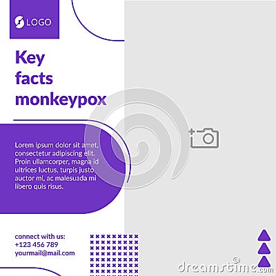 Banner Key facts monkeypox, template Vector Illustration