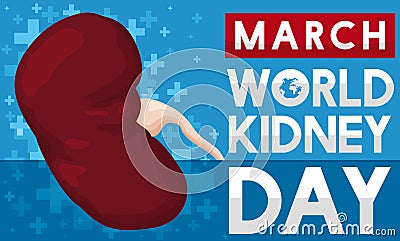 Design for World Kidney Day in March with Health Crosses, Vector Illustration Vector Illustration