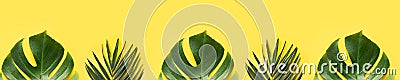 Banner leaves of palm and monstera on yellow. Top view, flat lay Stock Photo