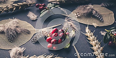 Banner. Lingonberry berries, dry leaves, quail feathers, ears of wheat on a dark background. Dark key lighting Stock Photo