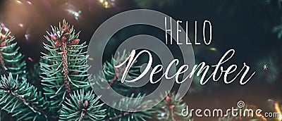 banner with pine branches and lettering Hello December Stock Photo