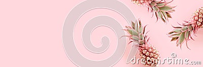 Banner with pink pineapples Stock Photo