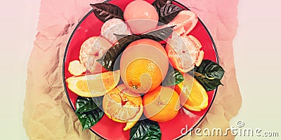 Banner Red plate of oranges and tangerines with green leaves on a light background Top view copy space Stock Photo