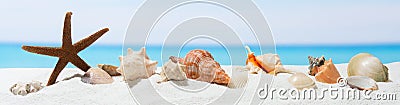 Banner summer background with white sand. Seashell and starfish on the beach Stock Photo