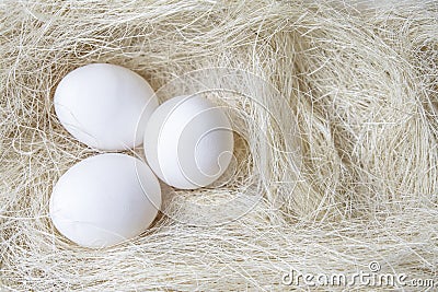 Banner Three eggs in chicken nest with white straw Stock Photo