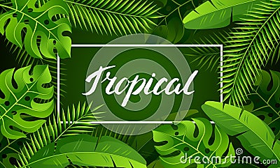 Banner with tropical palm leaves. Exotic tropical plants. Illustration of jungle nature Vector Illustration