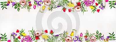 Banner for the web site, various multicolored spring flowers, space text, top view Stock Photo